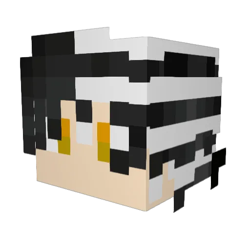 p4r4noia Minecraft avatar head, 3D render