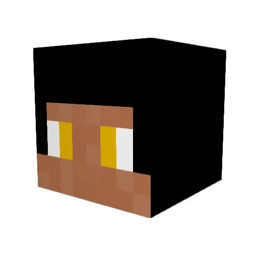 p4rty_pat Minecraft avatar head, 3D render