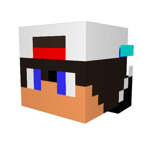 p4sd20 Minecraft avatar head, 3D render
