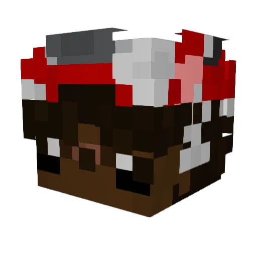 p4sokaa Minecraft avatar head, 3D render