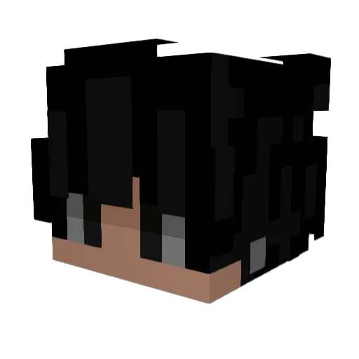 p4ul098k Minecraft avatar head, 3D render