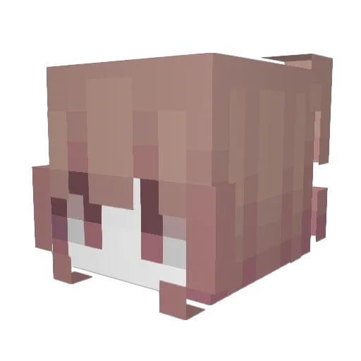 p5rc Minecraft avatar head, 3D render