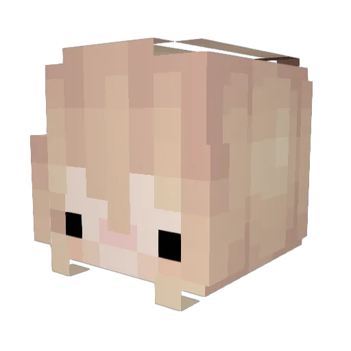 p6each Minecraft avatar head, 3D render
