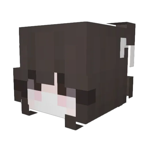 pB_Paige Minecraft avatar head, 3D render