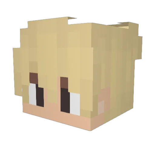 pDuckyq Minecraft avatar head, 3D render
