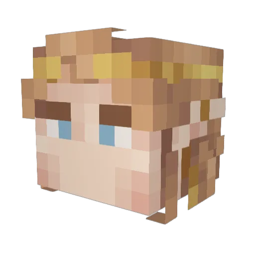 pGuin_ Minecraft avatar head, 3D render