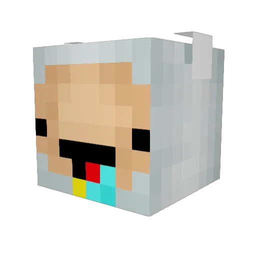 pH_DerpFinn Minecraft avatar head, 3D render