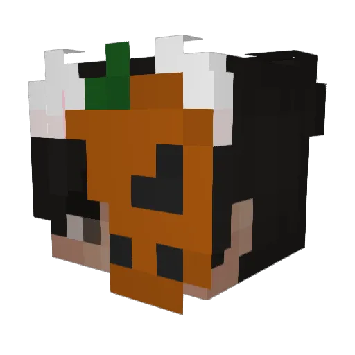 pIERow1881 Minecraft avatar head, 3D render