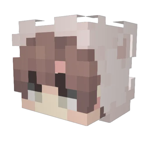 pInCheJoKeR Minecraft avatar head, 3D render