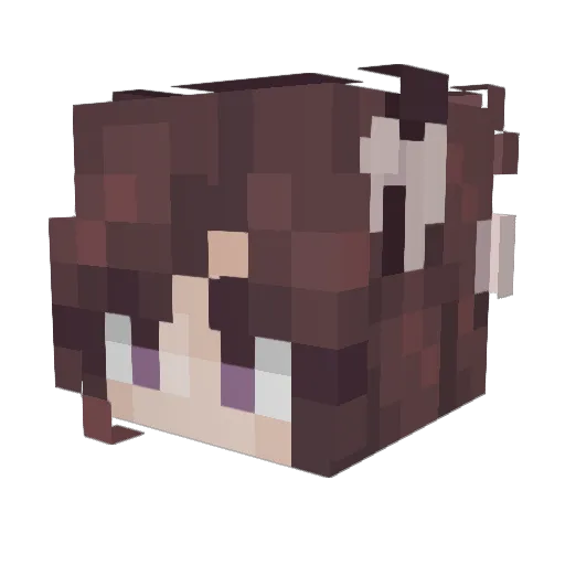 pSyR3nn Minecraft avatar head, 3D render