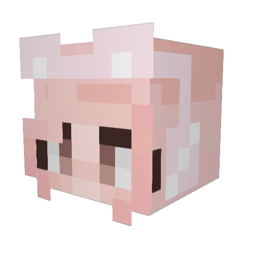 pZ4Z Minecraft avatar head, 3D render
