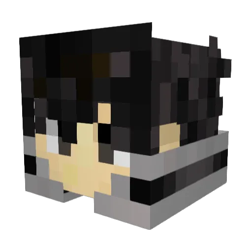 p_RPLe_ Minecraft avatar head, 3D render