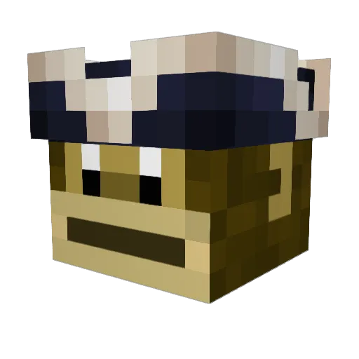 p_aryy Minecraft avatar head, 3D render