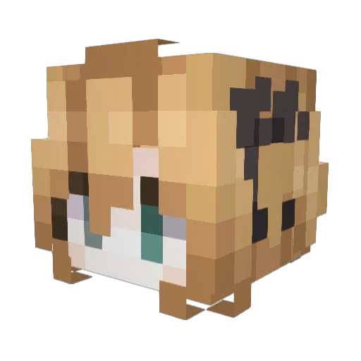 Minecraft-Avatar von p_ph: Kopf als 3D-Render