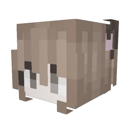 p_ql Minecraft avatar head, 3D render
