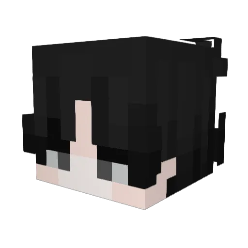 p_zunsu_ Minecraft avatar head, 3D render
