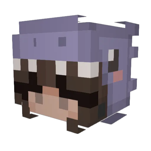 pa0lav Minecraft avatar head, 3D render