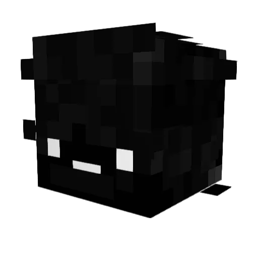 paanixx_ Minecraft avatar head, 3D render
