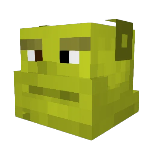 paavopelaa123 Minecraft avatar head, 3D render