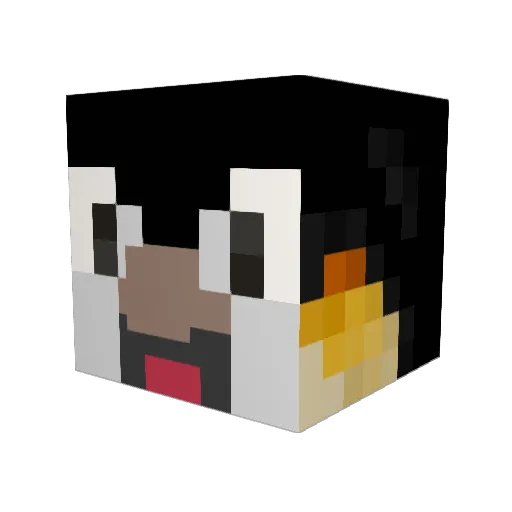 paberg96 Minecraft avatar head, 3D render