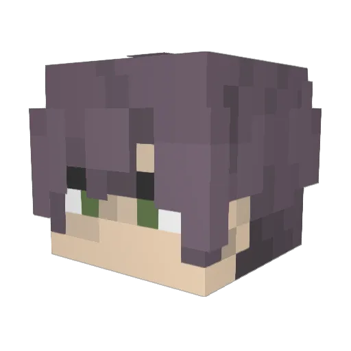 pacan1337 Minecraft avatar head, 3D render