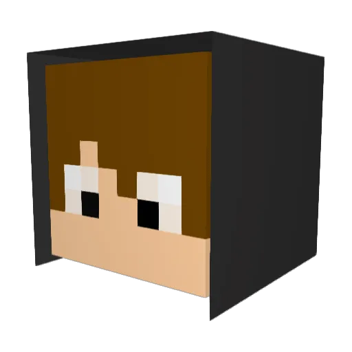 pacatatum Minecraft avatar head, 3D render