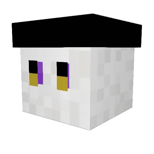 pacc0 Minecraft avatar head, 3D render
