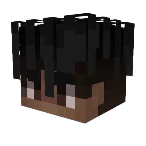 pachapacap Minecraft avatar head, 3D render