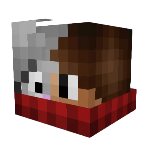 pachaug Minecraft avatar head, 3D render