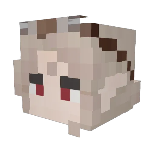 Minecraft-Avatar von pachimark: Kopf als 3D-Render
