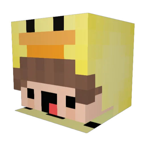 pachiplayz70 Minecraft avatar head, 3D render