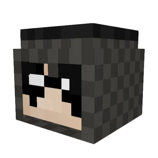 pacienciawk Minecraft avatar head, 3D render