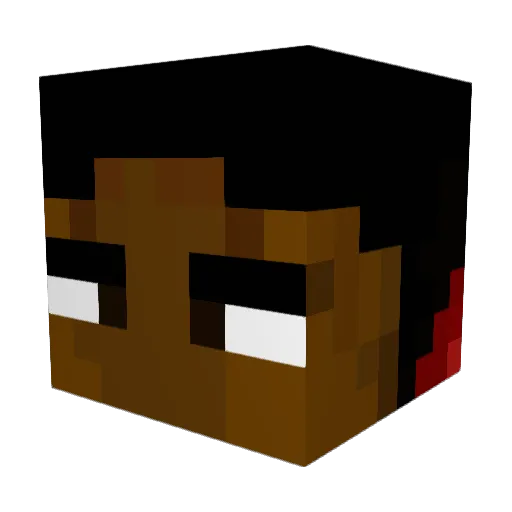 pacife Minecraft avatar head, 3D render