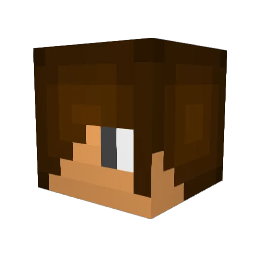 packerguy5 Minecraft avatar head, 3D render