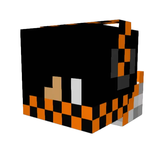 packers2k13 Minecraft avatar head, 3D render