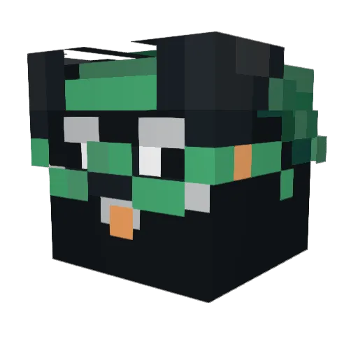 packetkittycat Minecraft avatar head, 3D render