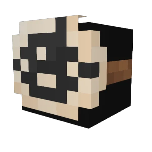 packetzz Minecraft avatar head, 3D render