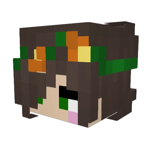 pacoida Minecraft avatar head, 3D render