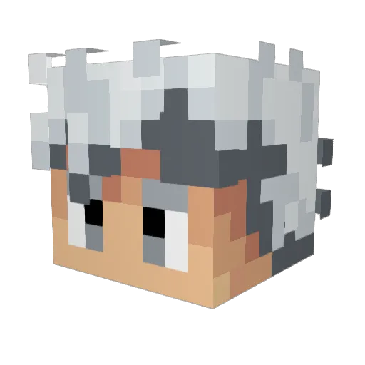 pacoman6964 Minecraft avatar head, 3D render