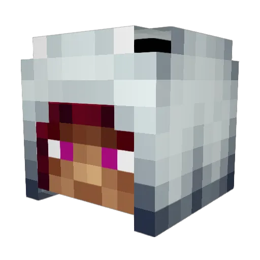 pacomaster14 Minecraft avatar head, 3D render