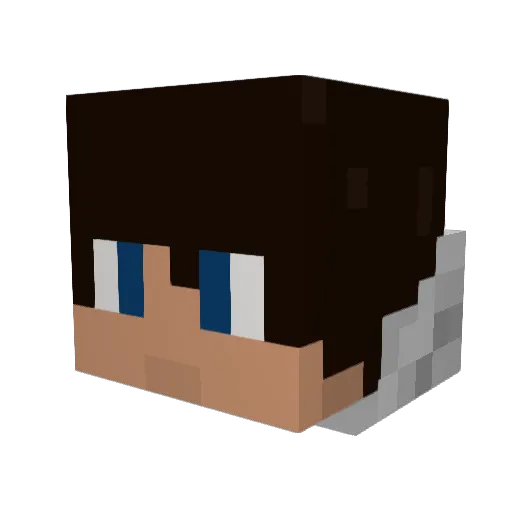 pacotacofever Minecraft avatar head, 3D render