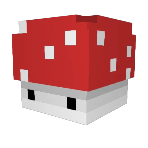 padaek Minecraft avatar head, 3D render