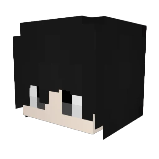 padakpadak2 Minecraft avatar head, 3D render