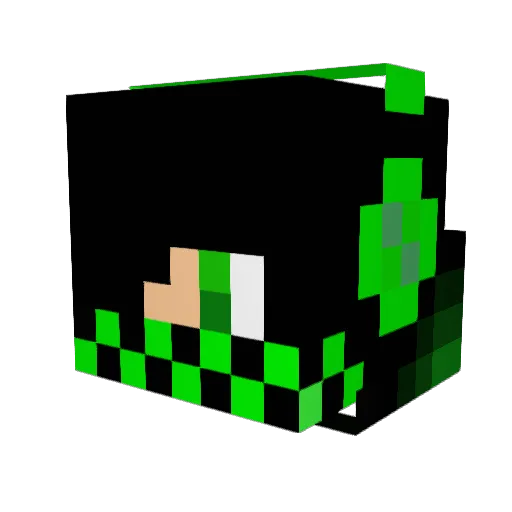 paddelleo Minecraft avatar head, 3D render