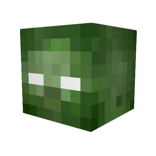 paddy12 Minecraft avatar head, 3D render