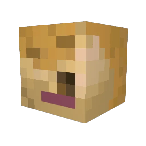paddyfan777 Minecraft avatar head, 3D render