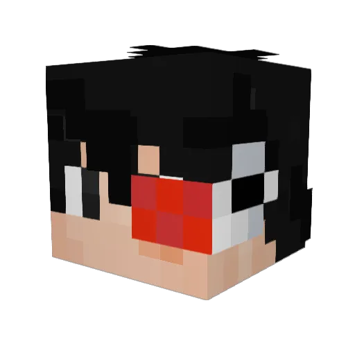 paddypat27 Minecraft avatar head, 3D render
