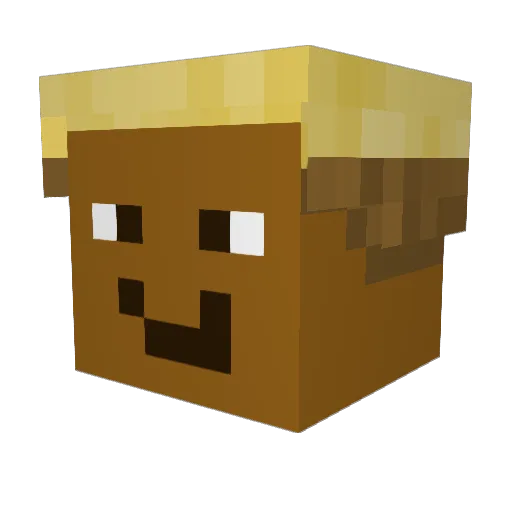 paddywaggy Minecraft avatar head, 3D render