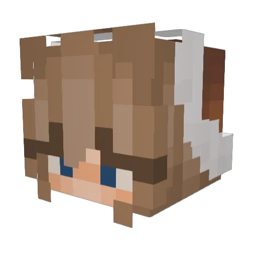 padforpresident Minecraft avatar head, 3D render