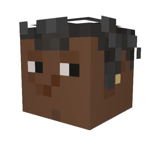 padkontrol Minecraft avatar head, 3D render